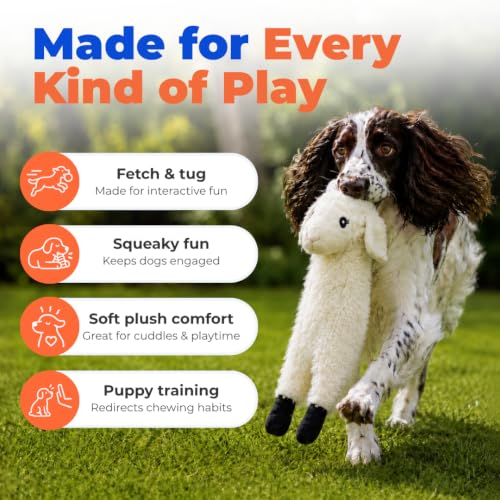 2-in-1 Stuffless Squeaky Dog Toy - Sheep, Medium (Grey/Sheep / Medium)