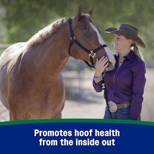 Horseshoer's Secret Pelleted Hoof & Biotin Supplements (Original formula / 11 pounds)