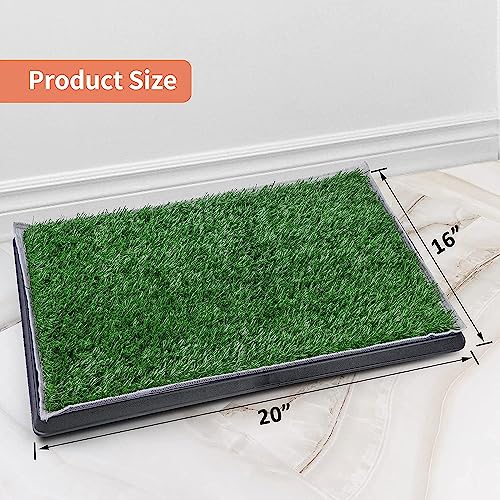 Grass Pad with Tray 20"x16" (20"x16")