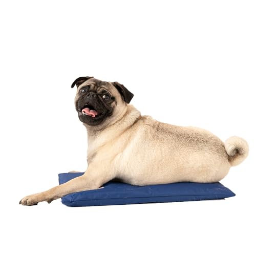 Hydro Cooling Mini Mat for Dogs (Mini)