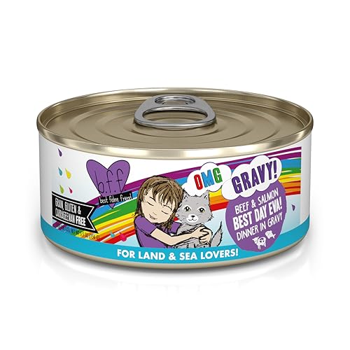 B.F.F. OMG Best Feline Friend Oh My Gravy! (5.5 Ounce (Pack of 8))