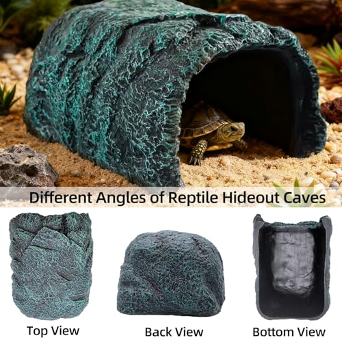 Large Reptile Hideout