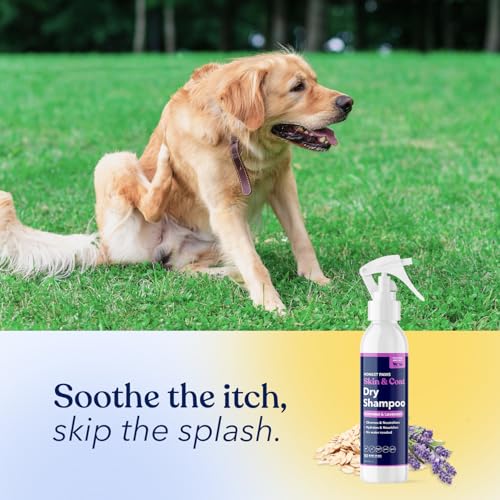 Dog Dry Shampoo