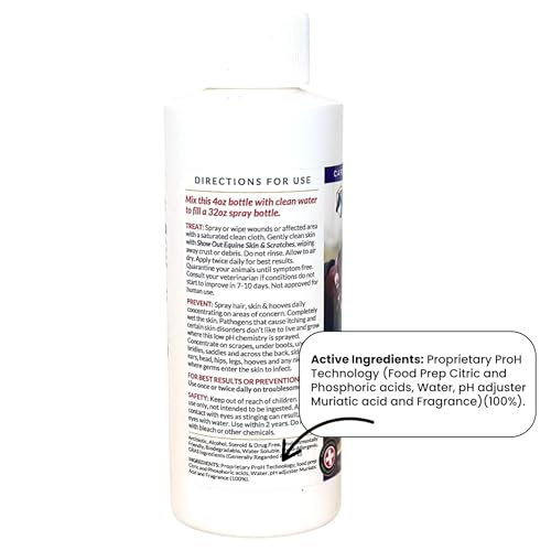Show Out Skin & Scratches 4 oz Concentrate (32 fl oz)