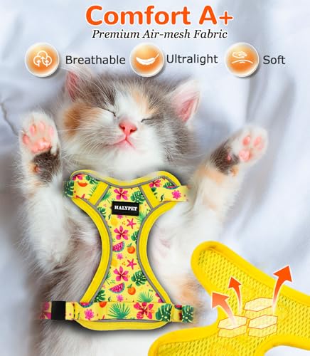 Cat Harness and Leash Set (H604 Pro Bright Yellow / X-Small (4-6lb))