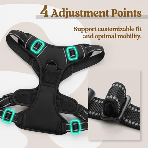 Dog Harness No Pull for Small Dogs with 2 Leash Clips (Small / Black)