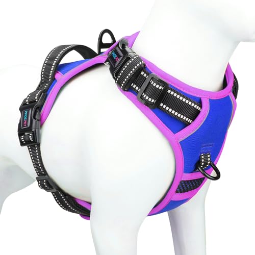 Upgraded No Pull Dog Harness (Royal Blue / Extra Large)