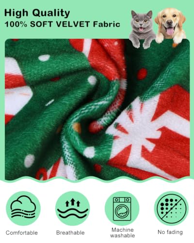 Dinosaur Costume Halloween Christmas Dog Pajamas (Small / Gift Boxes)