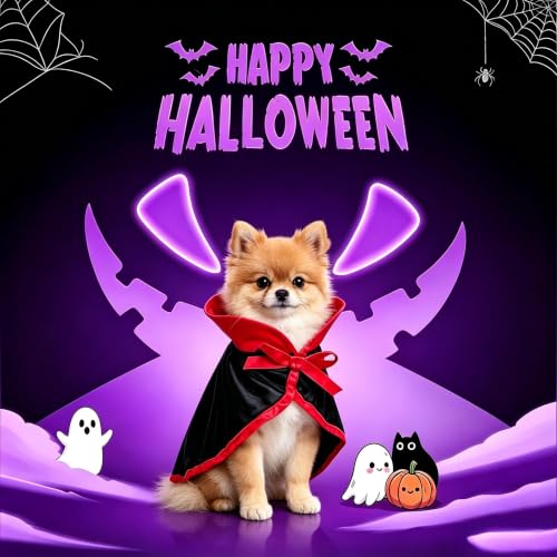 Cat Vampire Costume (Vampire Costume)