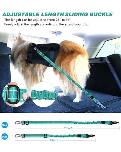 Dog Seat Belt for Car (Set Black+Teal)