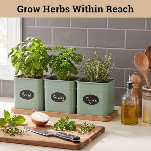 Herb Planter Indoor (Sage Green)