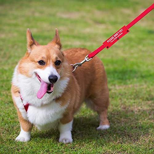 I'm a Little Anxious Red Dog Leash Sleeve