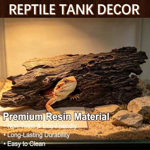 Bearded Dragon Hide