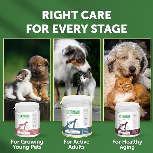 Bones & Energy Supplement Powder for Adult Dogs