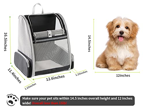 Innovative Traveler Bubble Backpack Pet Carriers for Cats and Dogs (Black)