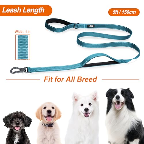 5FT 1IN Heavy Duty Dog Leash for Large Dogs with 2 Padded Handles (Blue / 1 in x 5 ft)