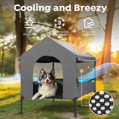 35" Dog House (Elevated Dog House)