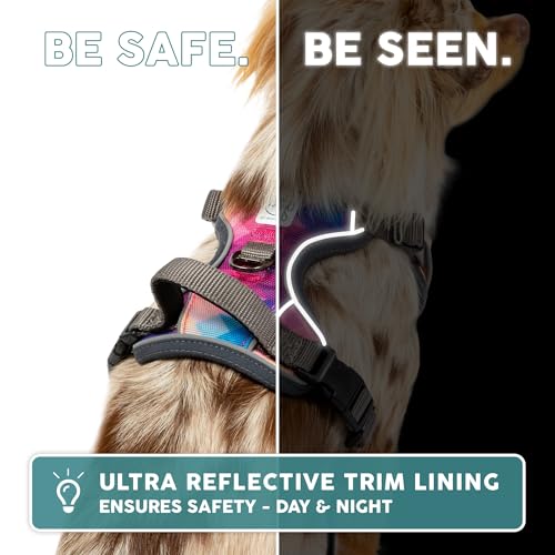 Embark No Pull Dog Harness (S / Maverick)