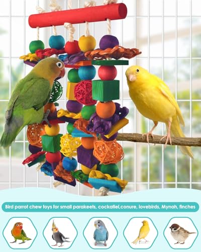 Bird Toys 2PCS Parrot Foraging Hanging Toy (2 PCS)