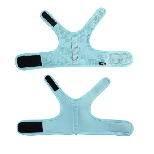 Cat Harness and Leash Set for Walking Escape Proof (Turquoise / Xs 2-4 lbs)