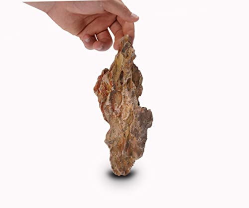 Dragon Ohko Stone 16lb Large Aquarium Rocks for Fish Tank Decor (01 Dragon(Ohko) Stone(2-8inch,16lbs))
