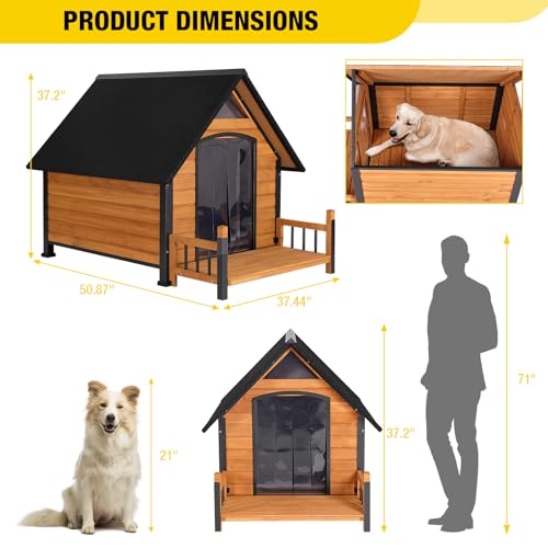 Outdoor Dog House with All
