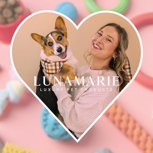 Luxury Pet Birthday Bandanas (Strawberry / X-Small)