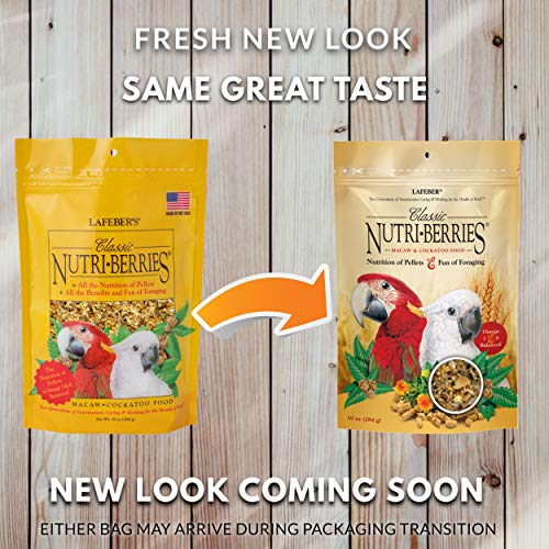 Classic Nutri (10 Ounce (Pack of 1))