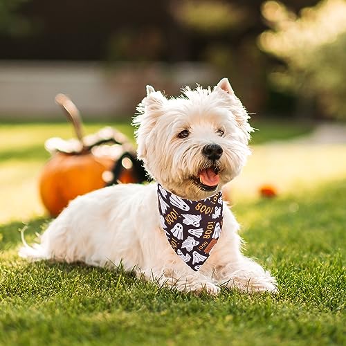 Halloween Dog Bandana (Small / Black & Orange)