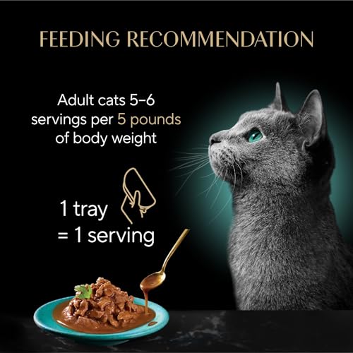 Gravy Indulgence Wet Cat Food (24 Count (Pack of 1))