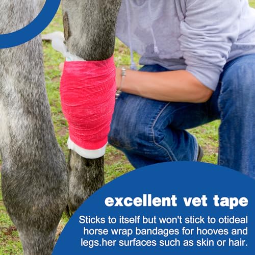 36 Pack Self Adhesive Bandage Wrap (Multi-colored)