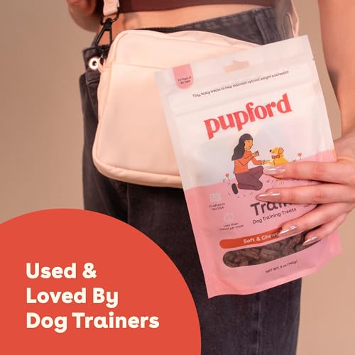 Soft & Chewy Training Treats for Dogs & Puppies (10 Ounce (Pack of 1))