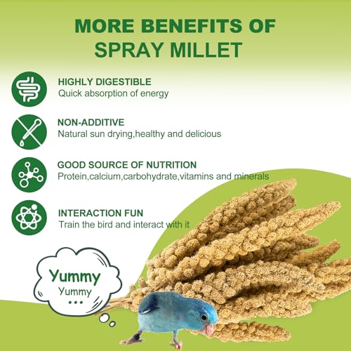 2LB Spray Millet Bird Treat for Parakeets