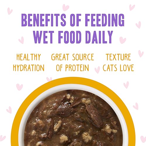 B.F.F. OMG Best Feline Friend Oh My Gravy! (3 Ounce (Pack of 12))