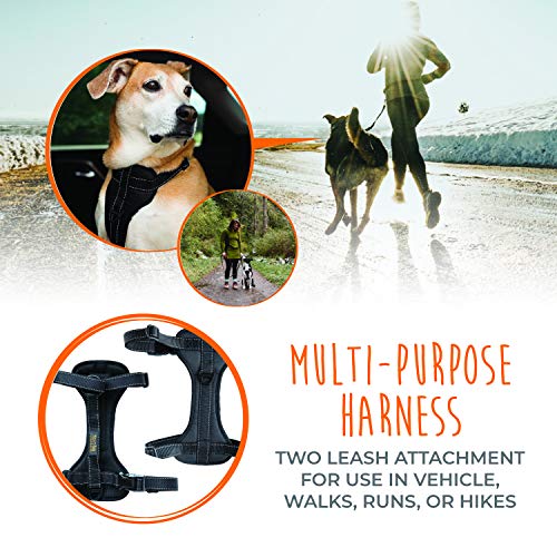 Dog Car Harness (Large / Black)