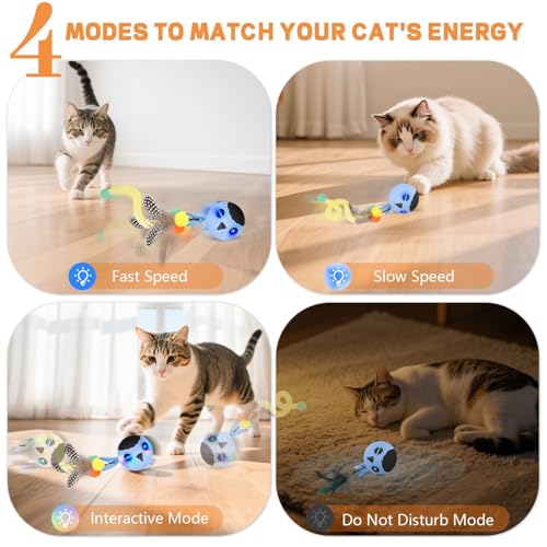 Cat Ball Toy Upgraded Smart Motion Sensor Moving Ball with 3 Speed Modes & 4 Sounds (Blue)