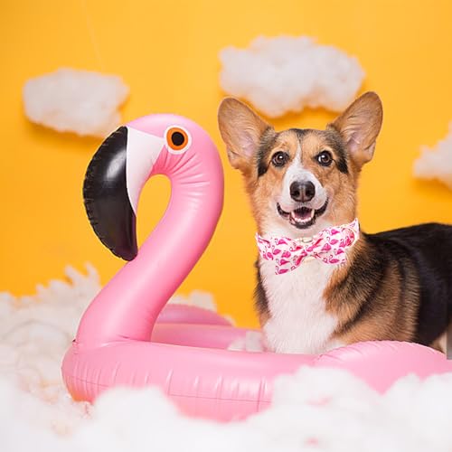 Dog Collar Pink Flamingos Dog Collar with Bow Girl Cotton Bowtie Spring Pet Collars Gift Adjustable Pet Collars for Small Dogs (Flamingo / Small (Pack of 1))