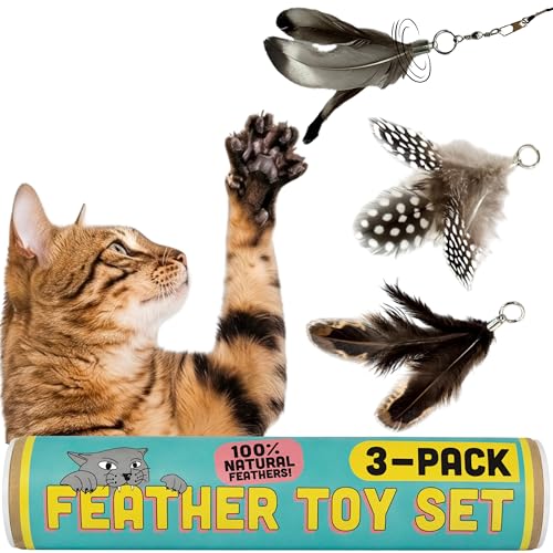 Forever Stick Refill 3 (Feather Toys Refill 3-Pack)