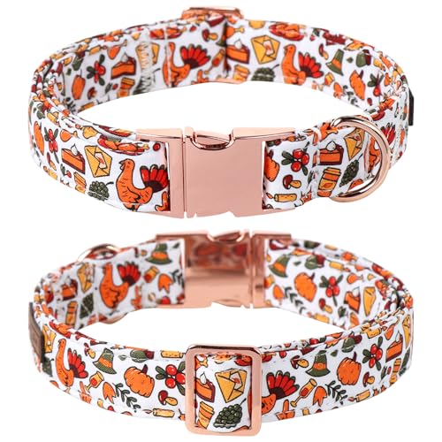 Thanksgiving Dog Collar (Medium (Pack of 1) / Harvest Autumn)