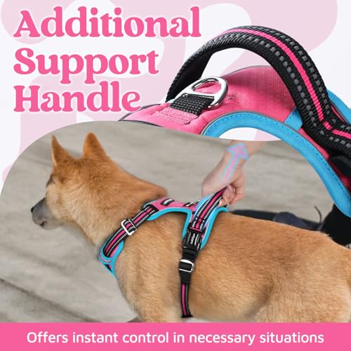 Dog Harness Small Sized (Pink & Blue / Small)