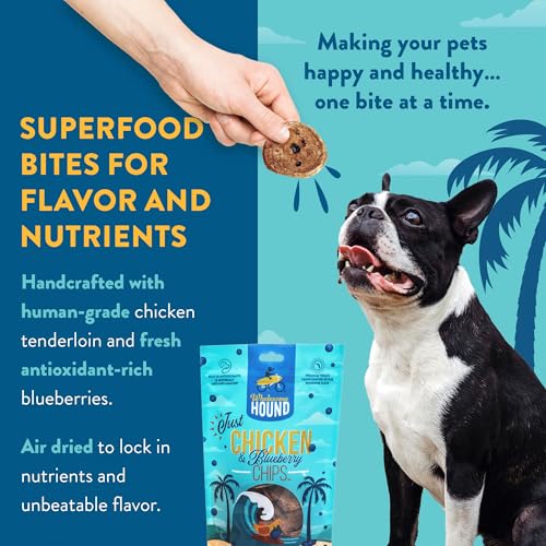 Chicken Blueberry Chips Dog Treats (7–8 Ounce)