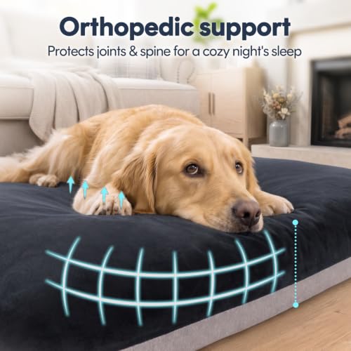 Orthopedic Extra Large Dog Bed 47 Inch (47.0"L x 39.0"W x 5.0"Th / Dark Grey)