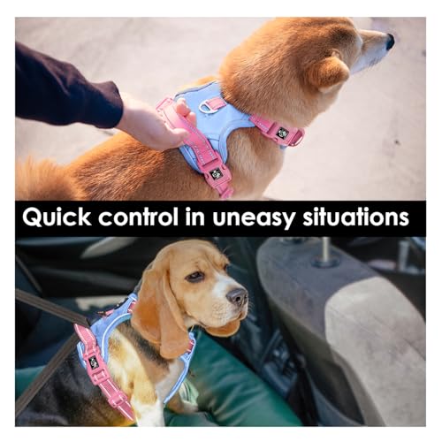 No Pull Dog Harness (Baby Blue Base & Pink Straps / Extra Large)