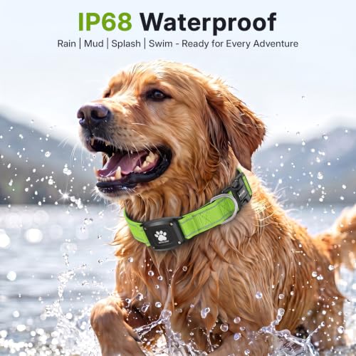 GPS Dog Collar with Tracker (Green / L(16.5''-23.5''))