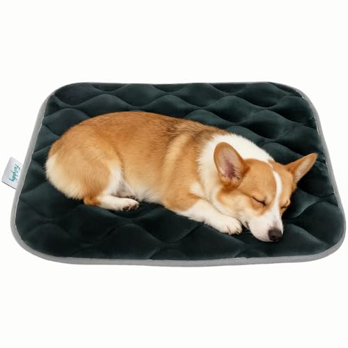 Dog Bed Mat Crate Pad (24.0"L x 18.0"W x 0.7"Th" / Grey Mat)