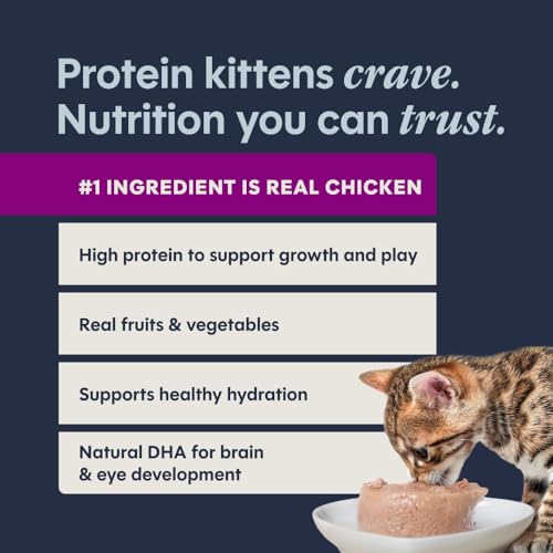 Original Pate Kitten Wet Cat Food (5.5 Ounce (Pack of 12))