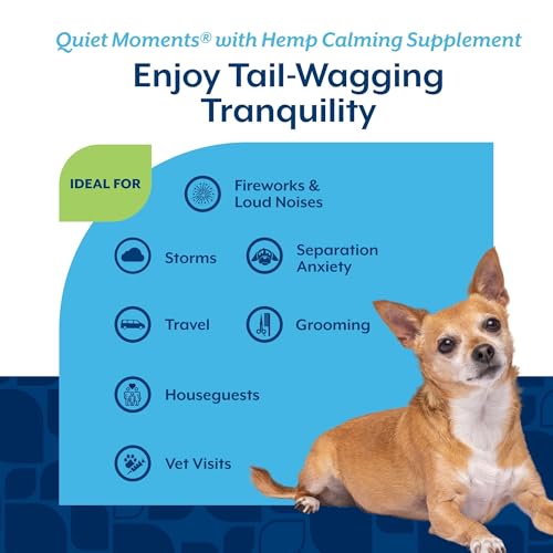 Quiet Moments Plus Hemp Calming Aid Soft Chews for Dogs (60 Count (Soft Chews))