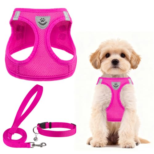 Dog Harness Collar and Leash Set No Pull for Small Medium Sized (Solid DeepPink / S (CHEST 14.5"-16"))