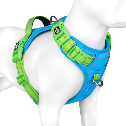 No Pull Dog Harness (Blue Base & Green Straps / Large)