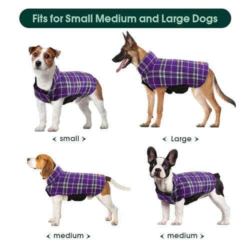 Waterproof Dog Coat (Purple / X-Small (Pack of 1))
